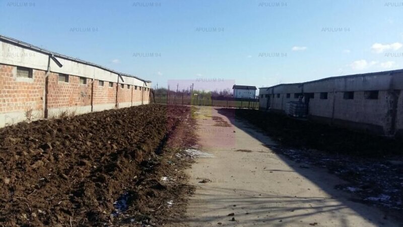 Teren Balotesti- Saftica- ideal pentru constructie locuinte.
