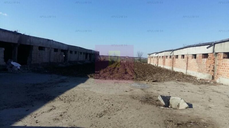 Teren Balotesti- Saftica- ideal pentru constructie locuinte.